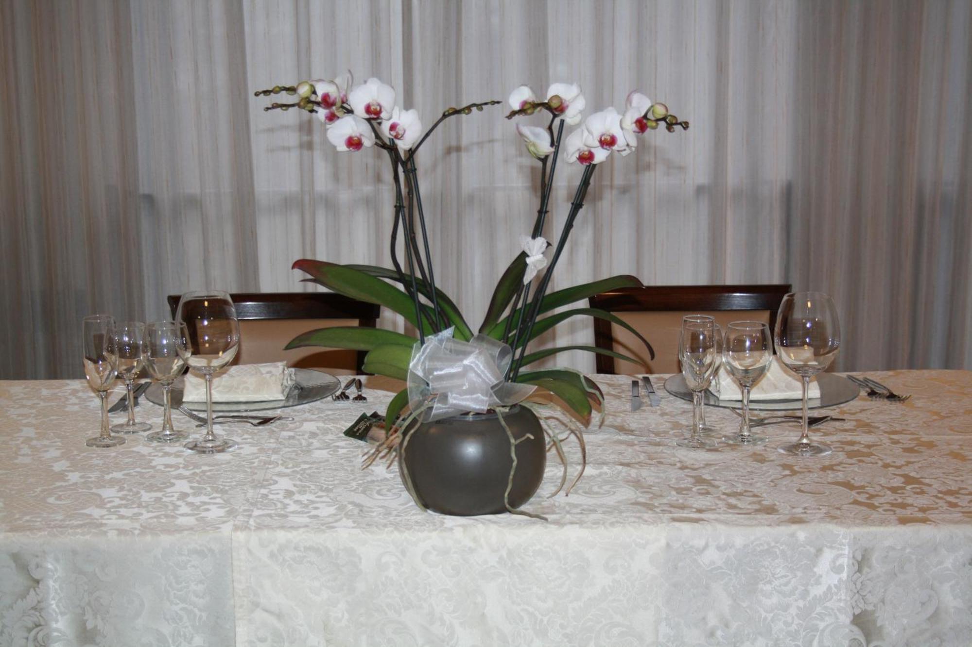 Albergo Ristorante Cicin Casale Corte Cerro Esterno foto